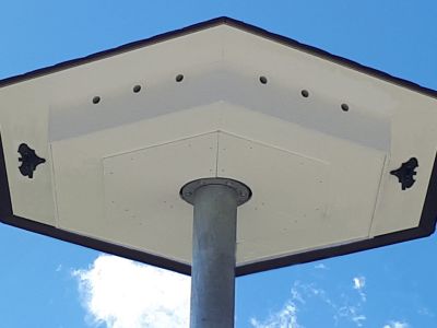 Mauerseglerhaus Modell "Apus einstöckig"