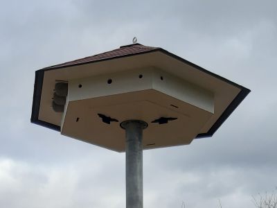 Artenschutzhaus einstöckig